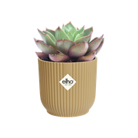 vibes fold rond mini 11cm jaune beurre